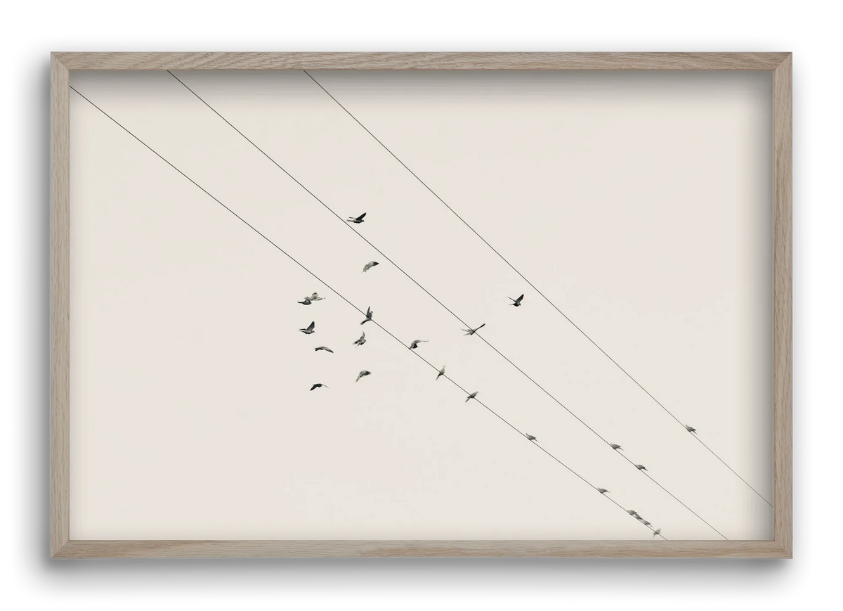 Matrix - artbridge