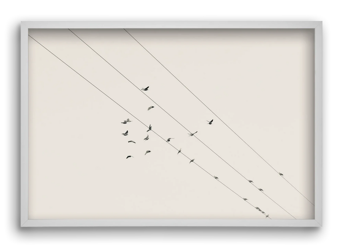 Matrix - artbridge