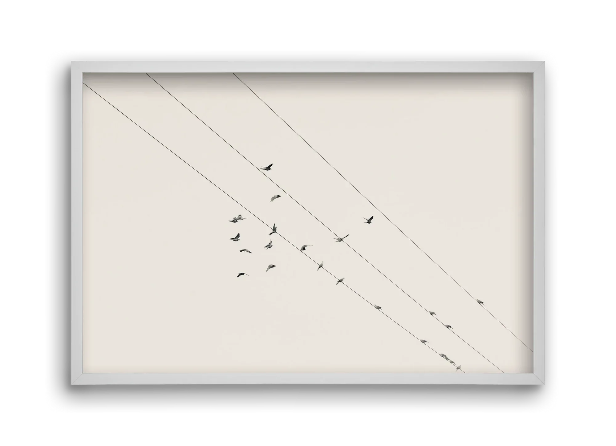 Matrix - artbridge