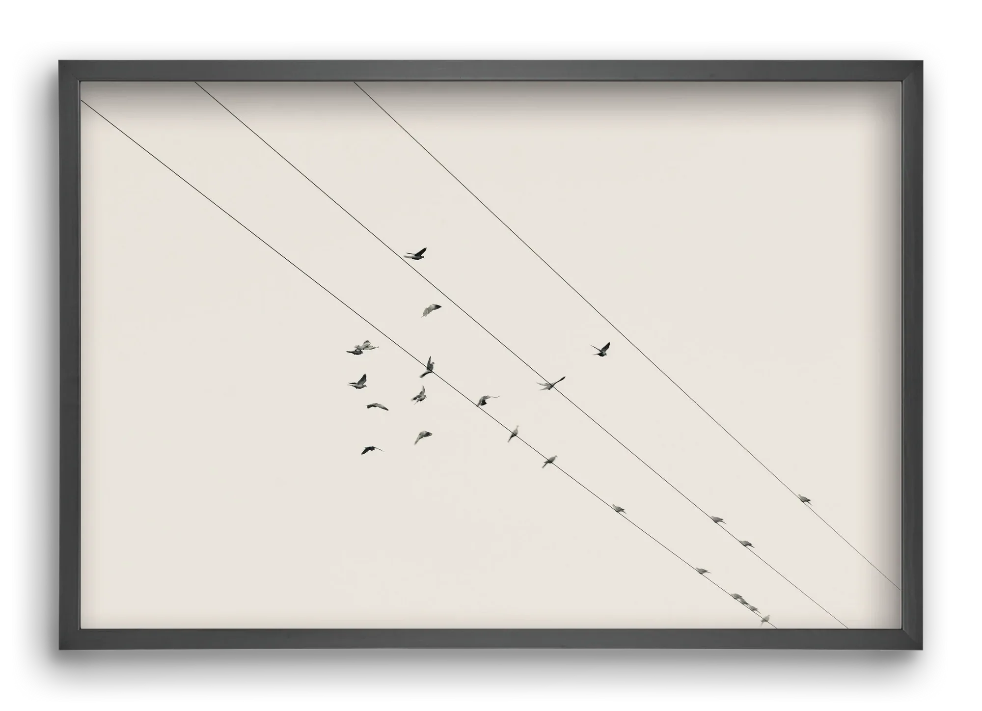 Matrix - artbridge