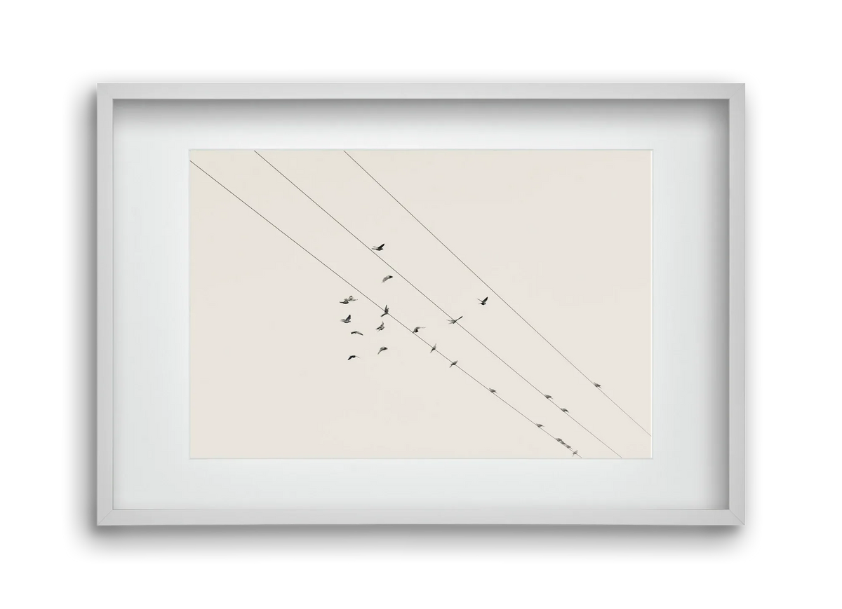 Matrix - artbridge