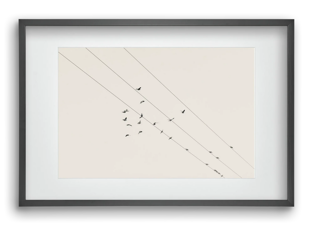 Matrix - artbridge