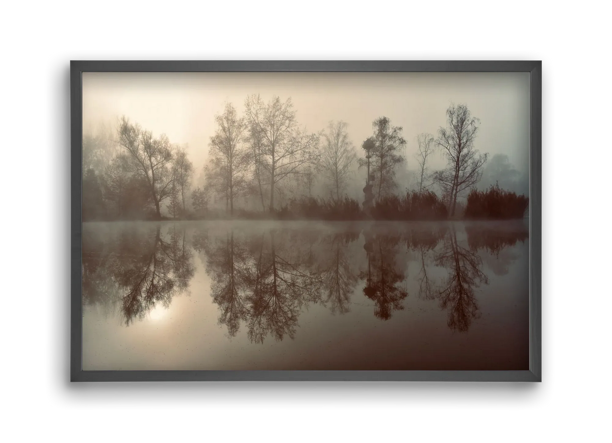 Dreamer - artbridge