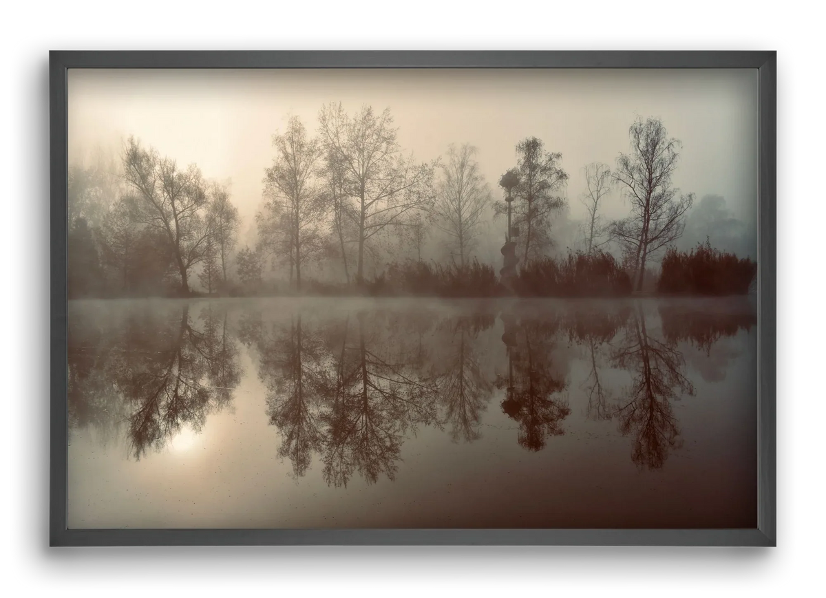 Dreamer - artbridge
