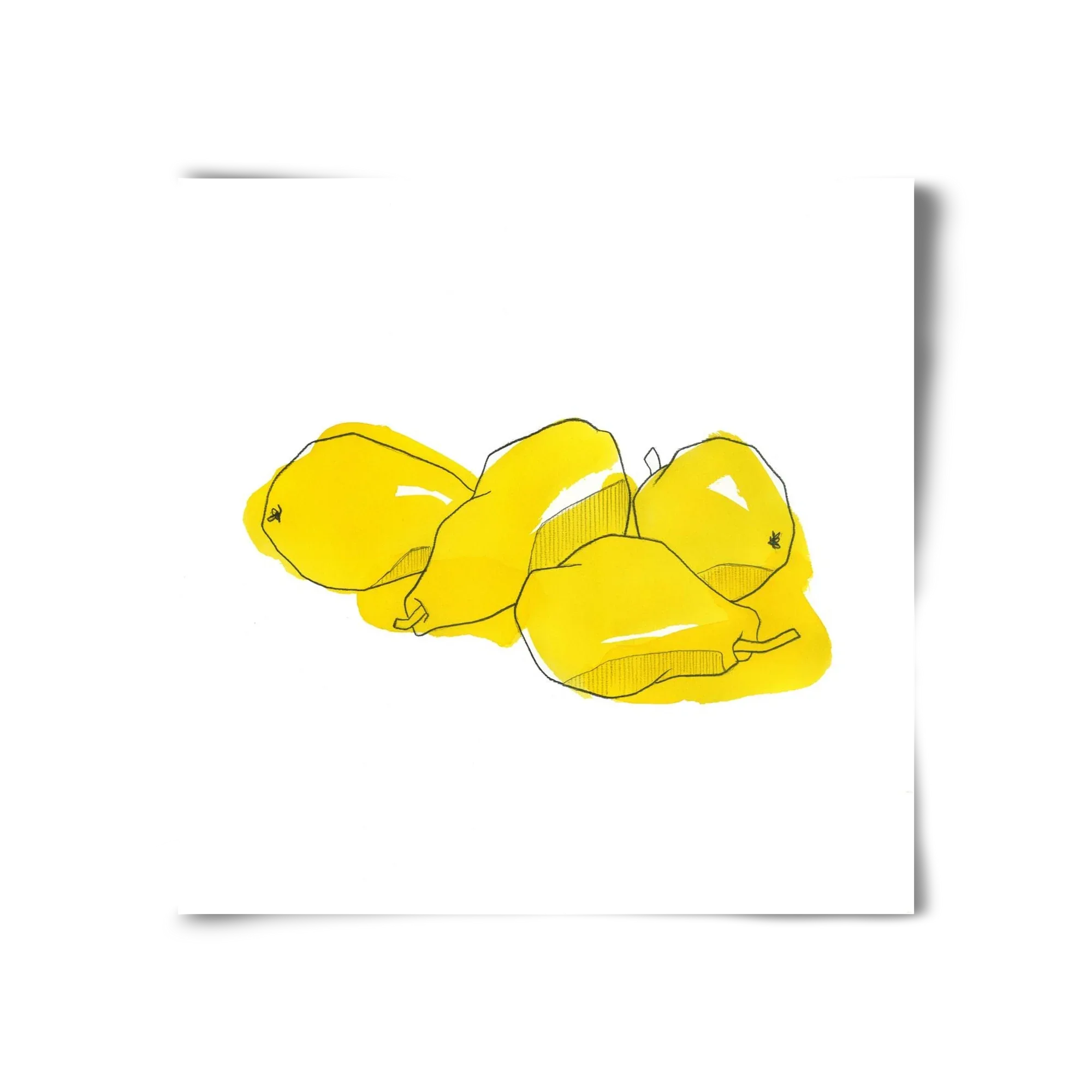 Pears - artbridge