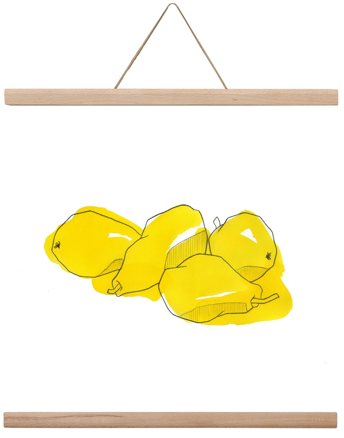 Pears - artbridge