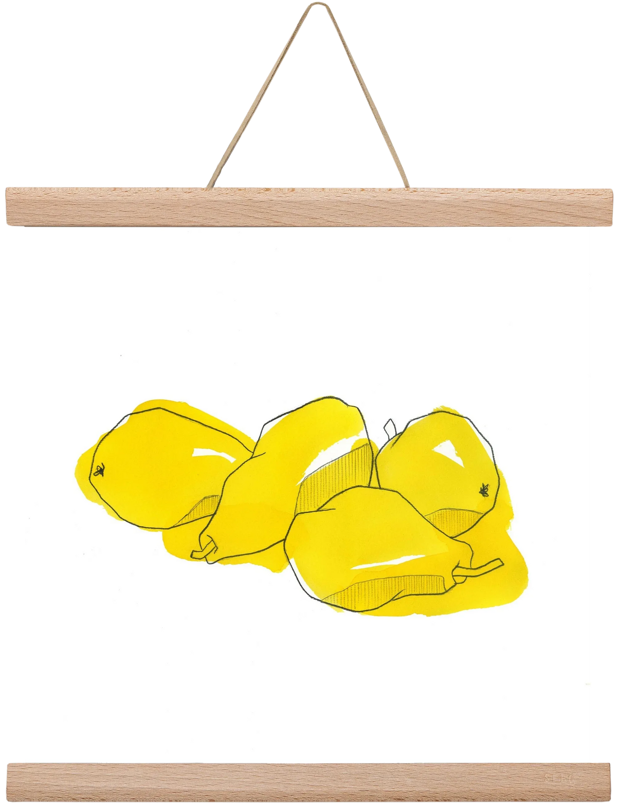 Pears - artbridge