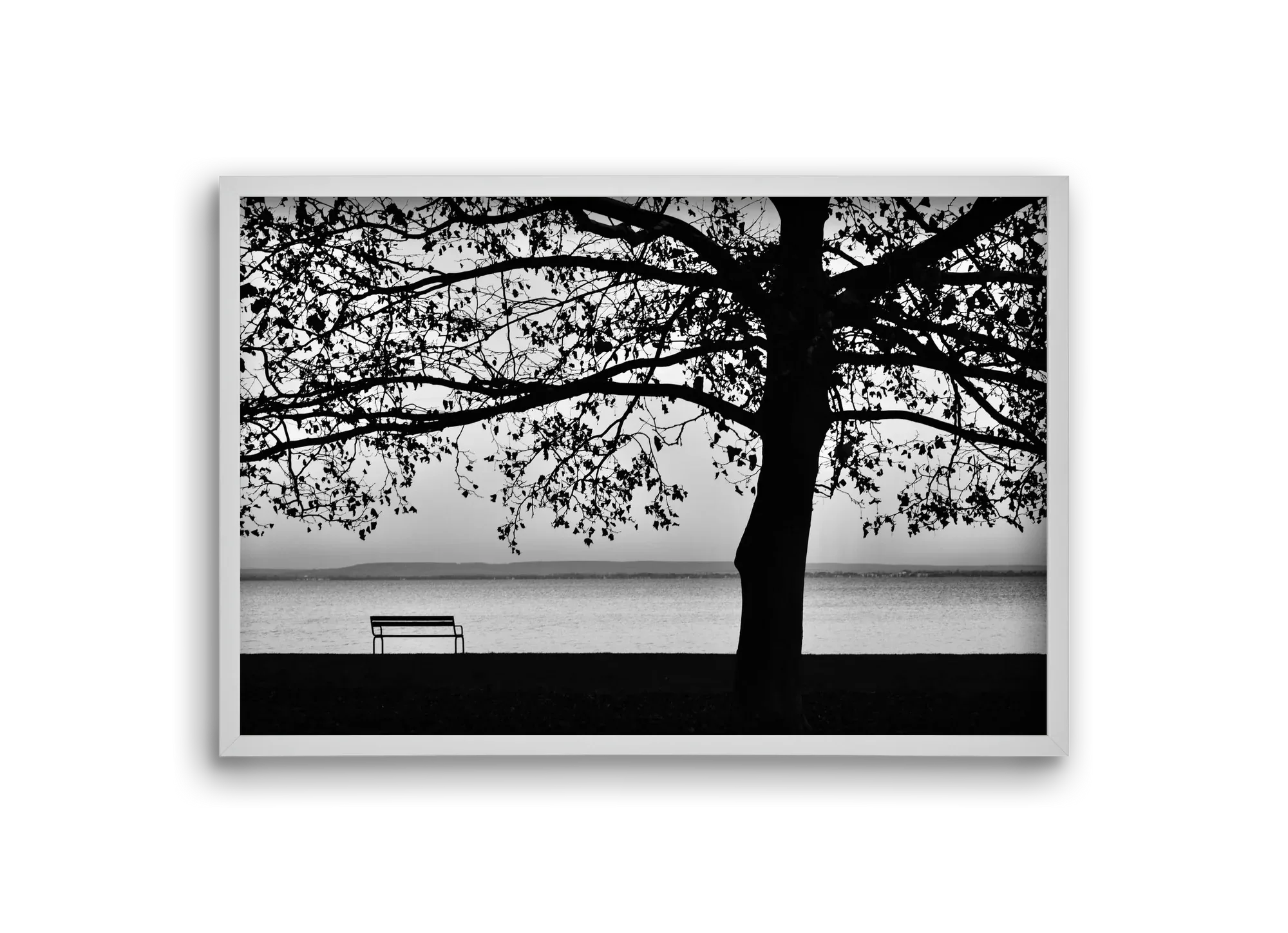 Badacsony part - artbridge