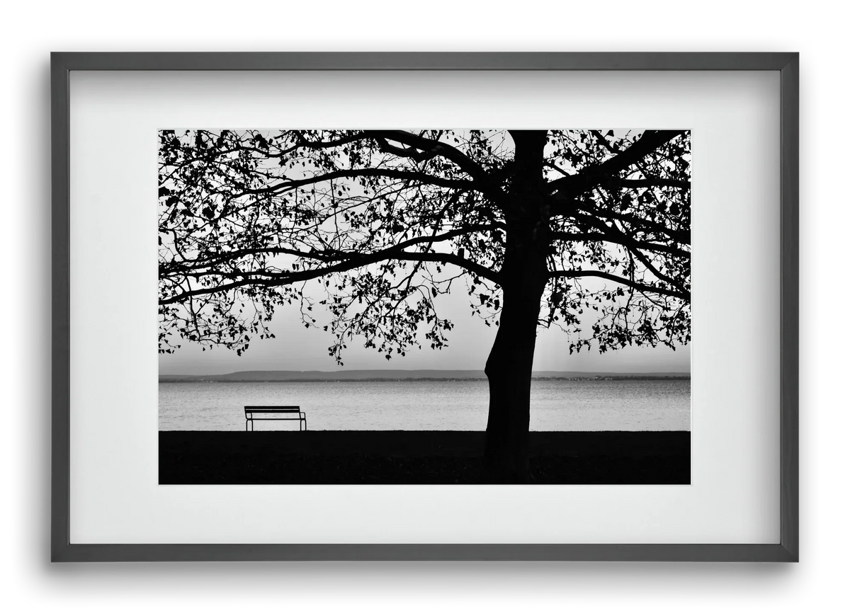 Badacsony part - artbridge