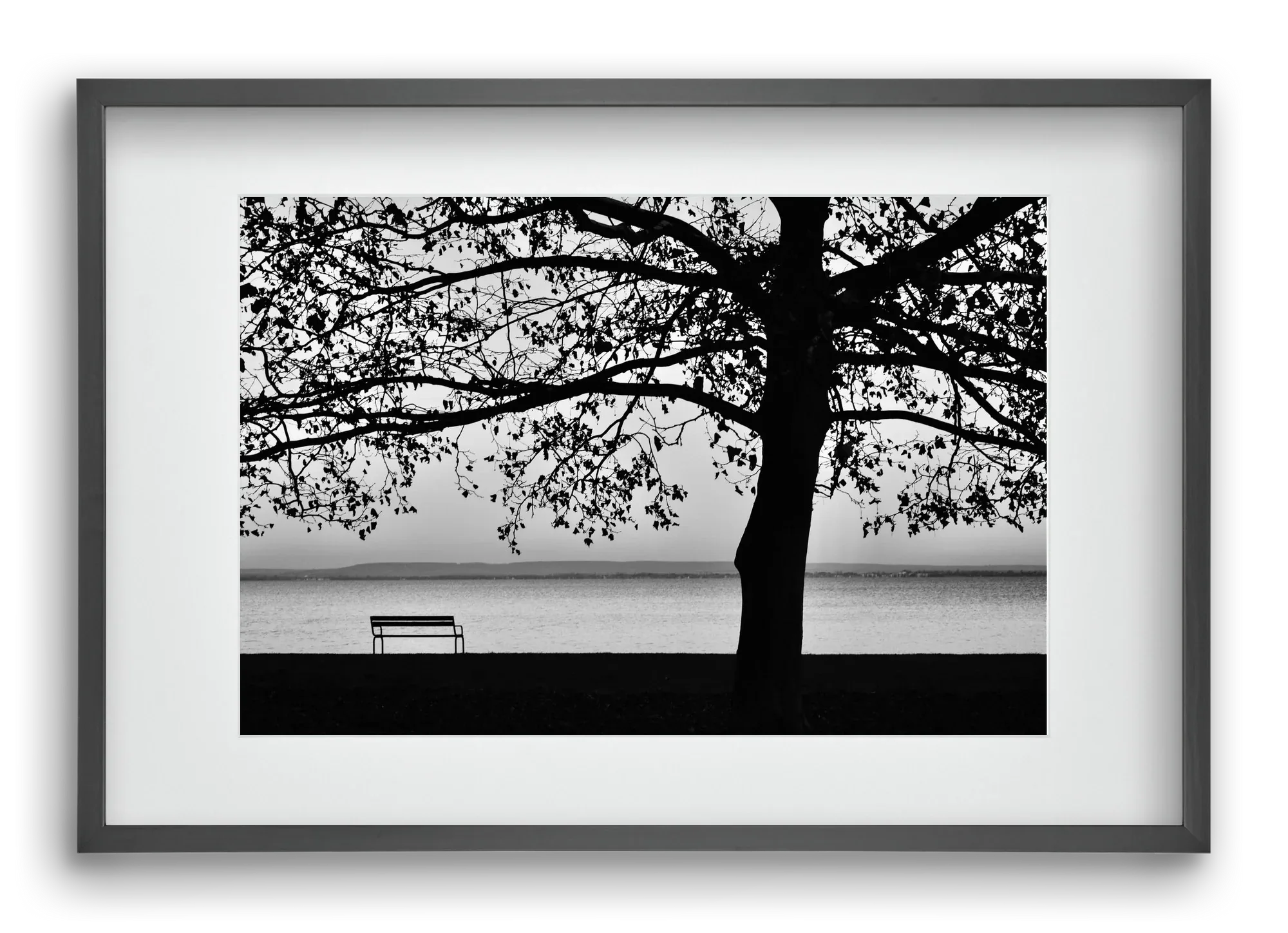 Badacsony part - artbridge