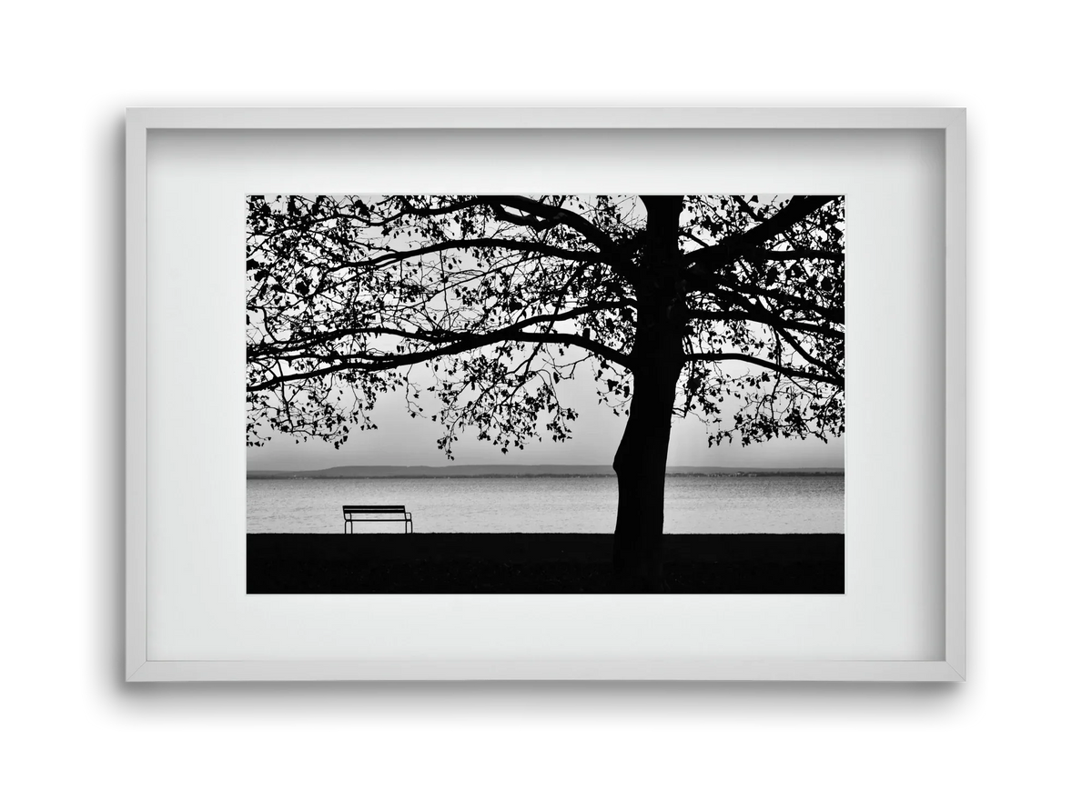 Badacsony part - artbridge