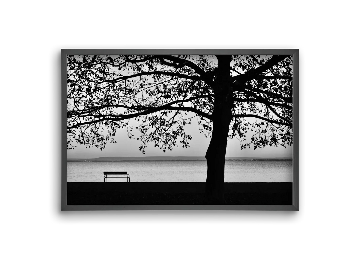 Badacsony part - artbridge
