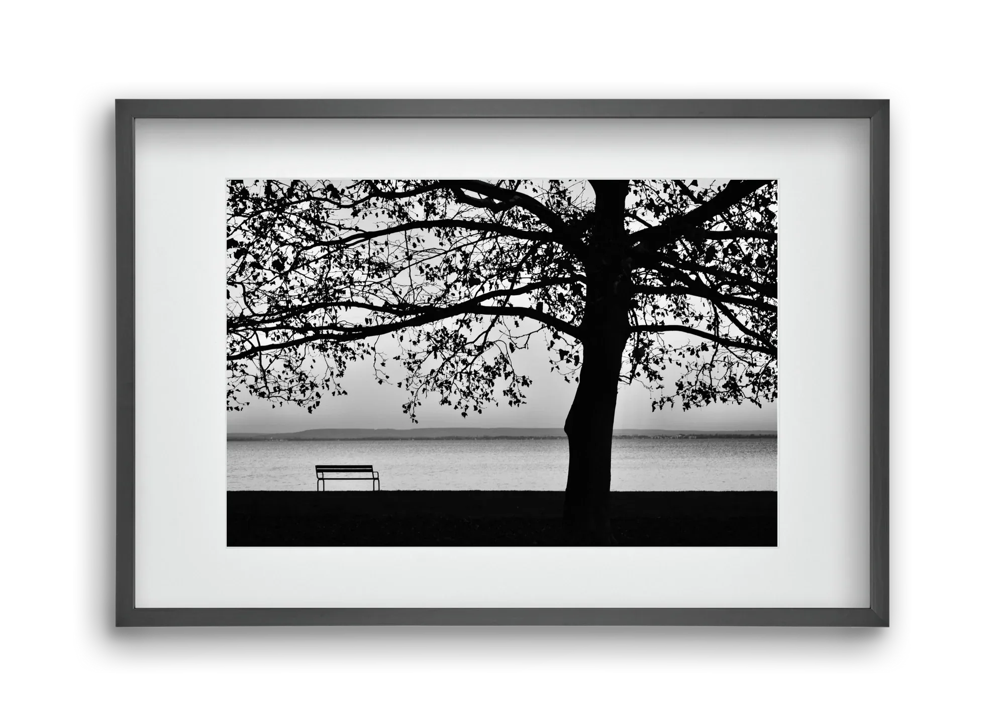 Badacsony part - artbridge