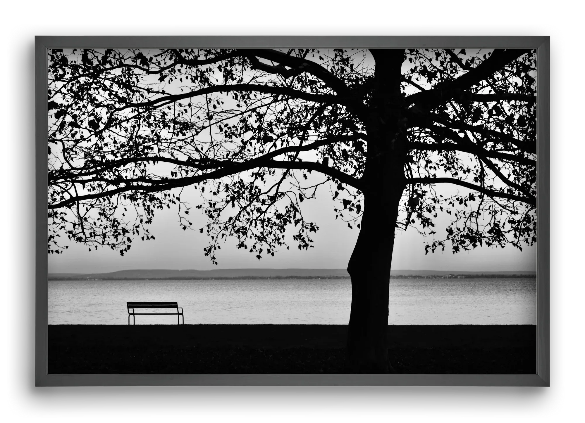 Badacsony part - artbridge