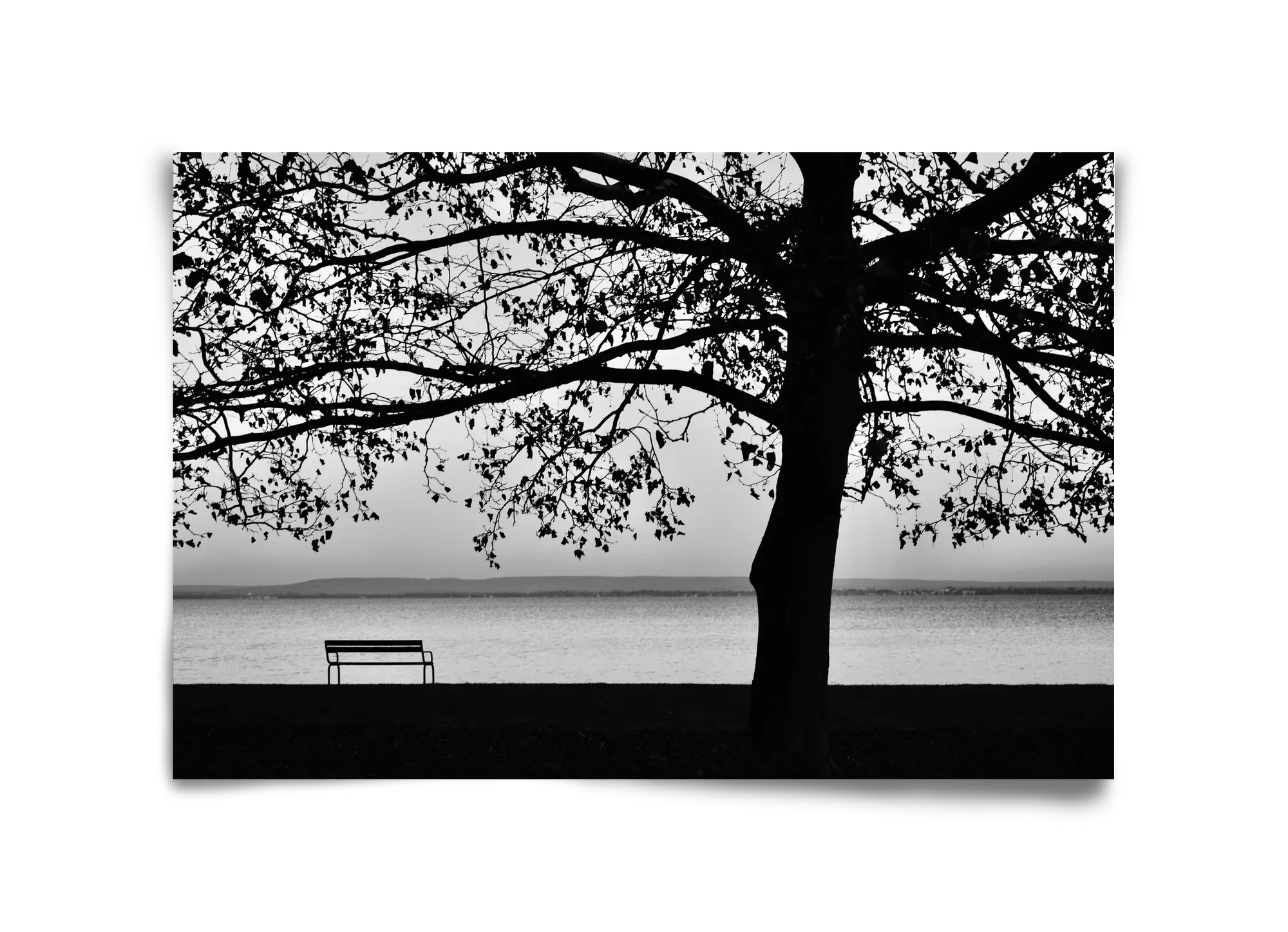 Badacsony part - artbridge
