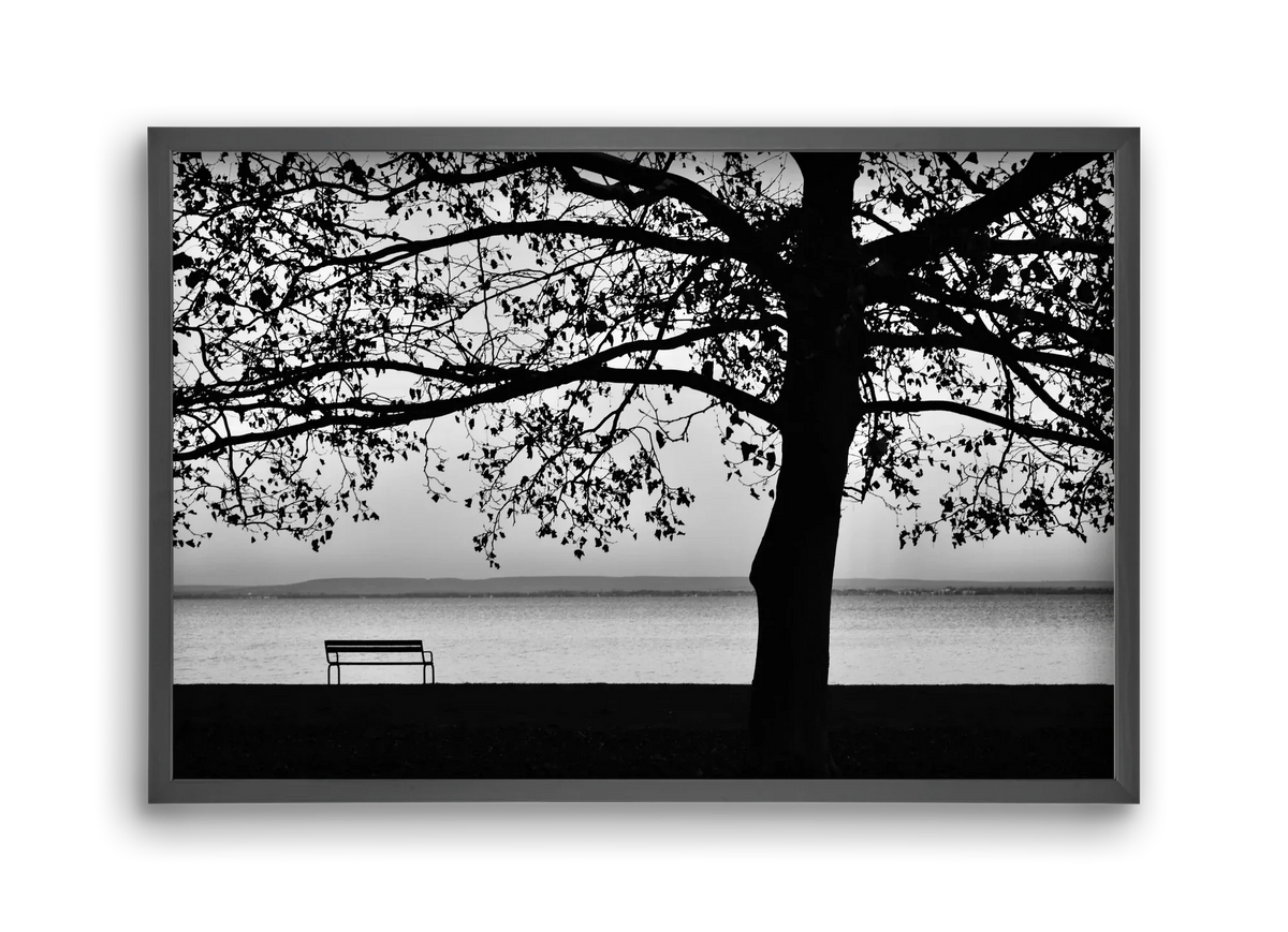 Badacsony part - artbridge