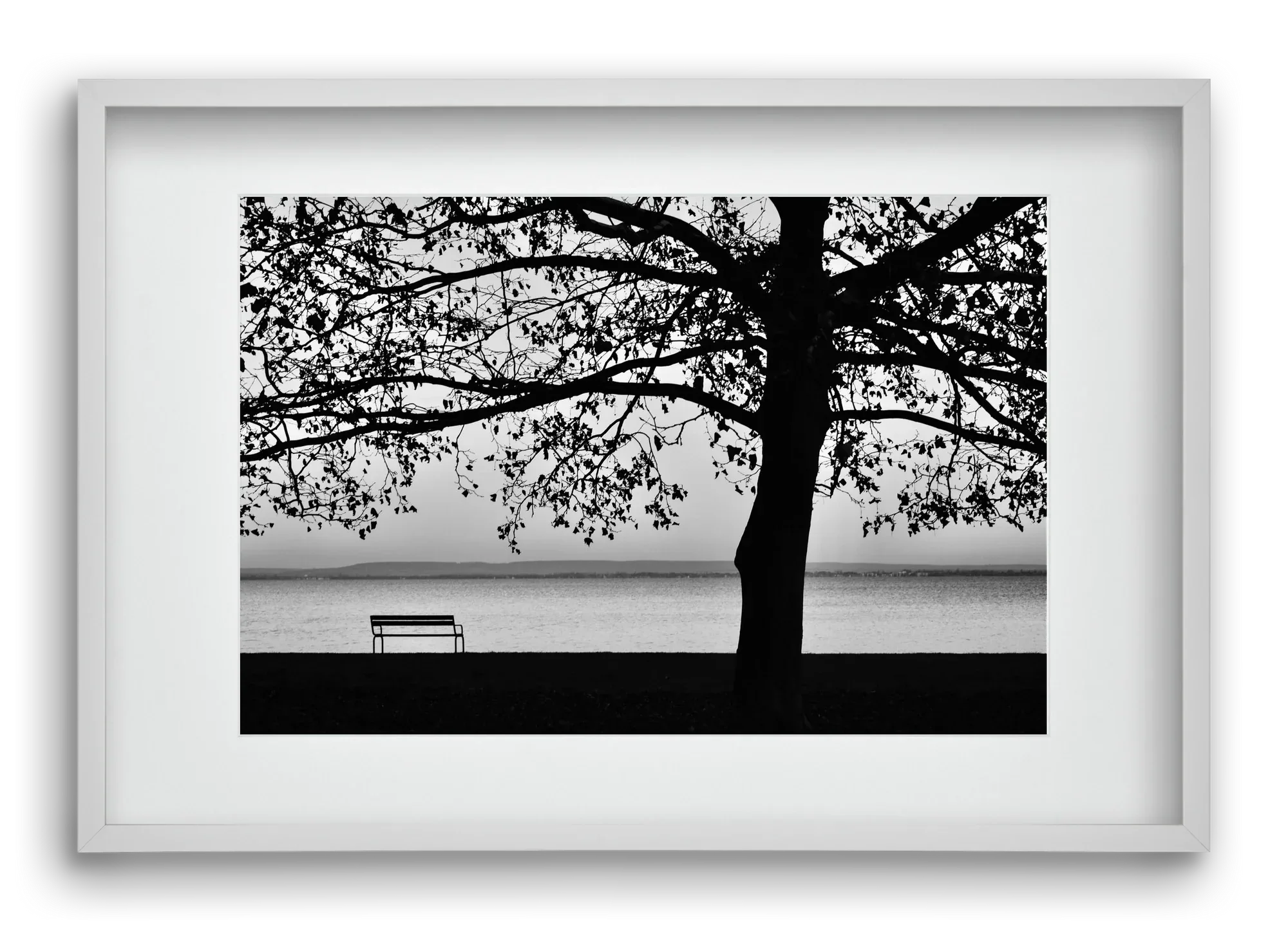 Badacsony part - artbridge