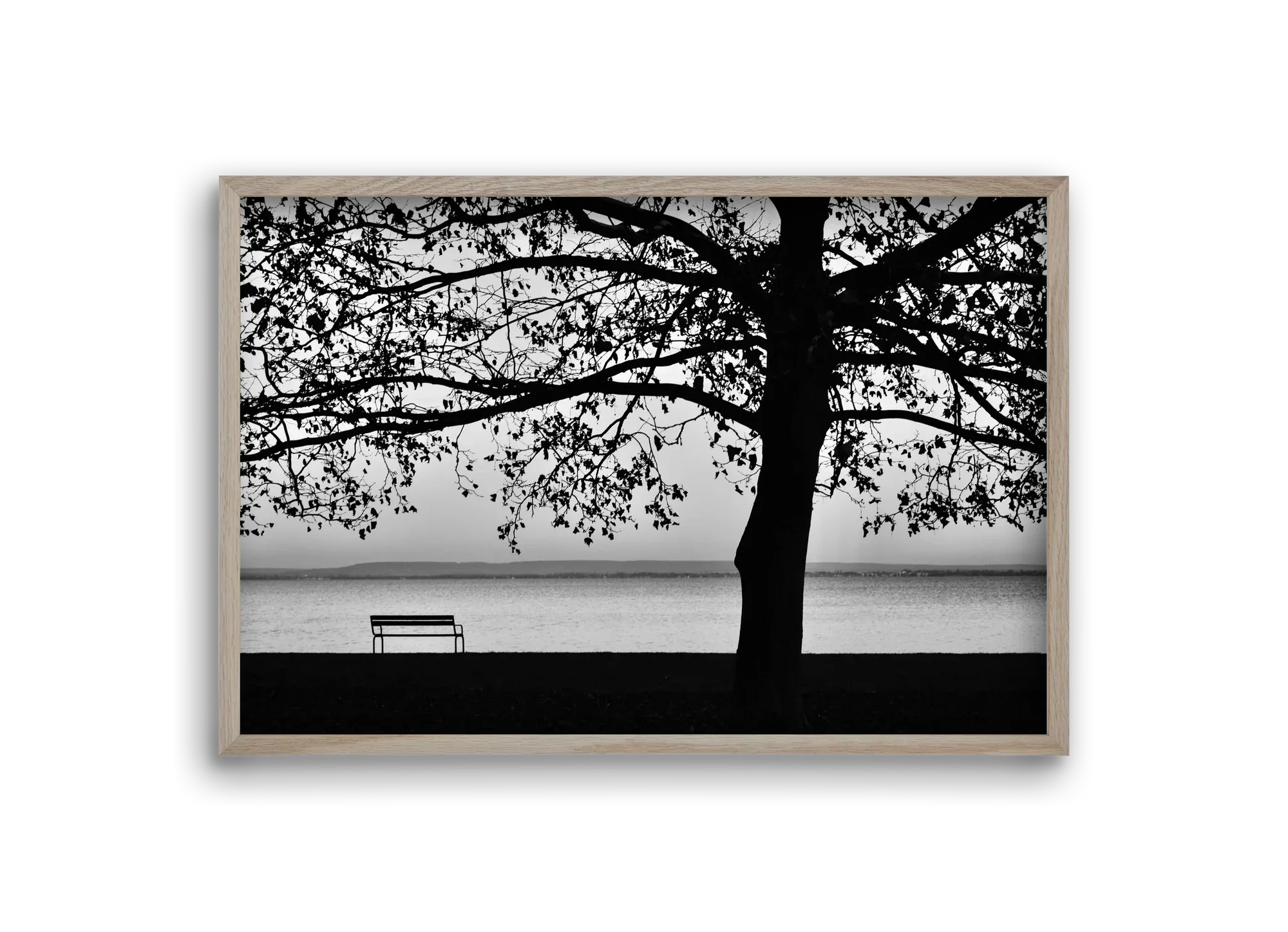 Badacsony part - artbridge