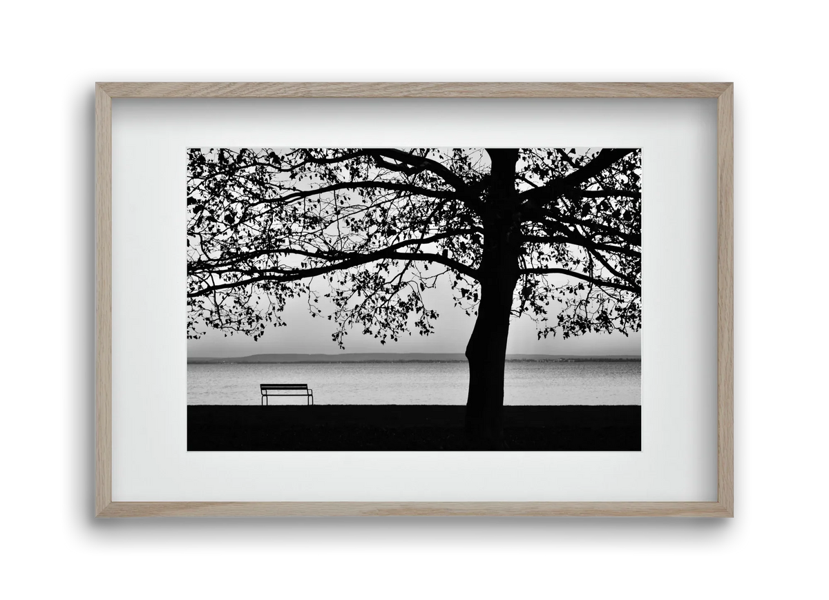 Badacsony part - artbridge