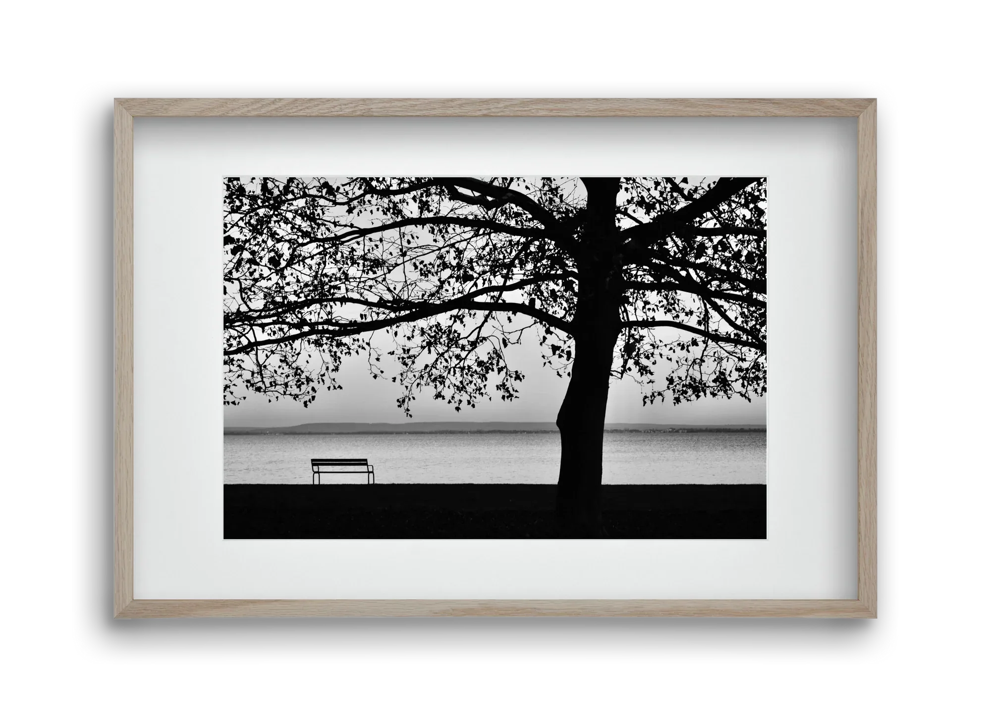 Badacsony part - artbridge