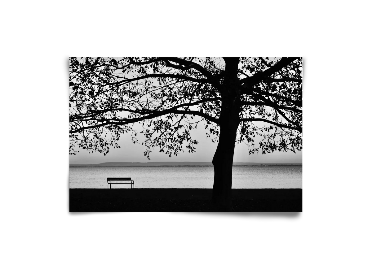 Badacsony part - artbridge