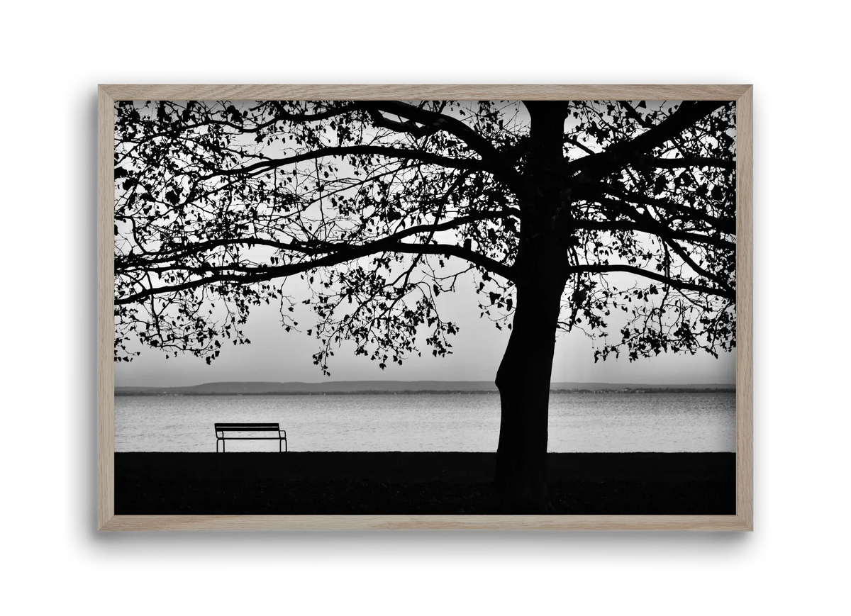 Badacsony part - artbridge