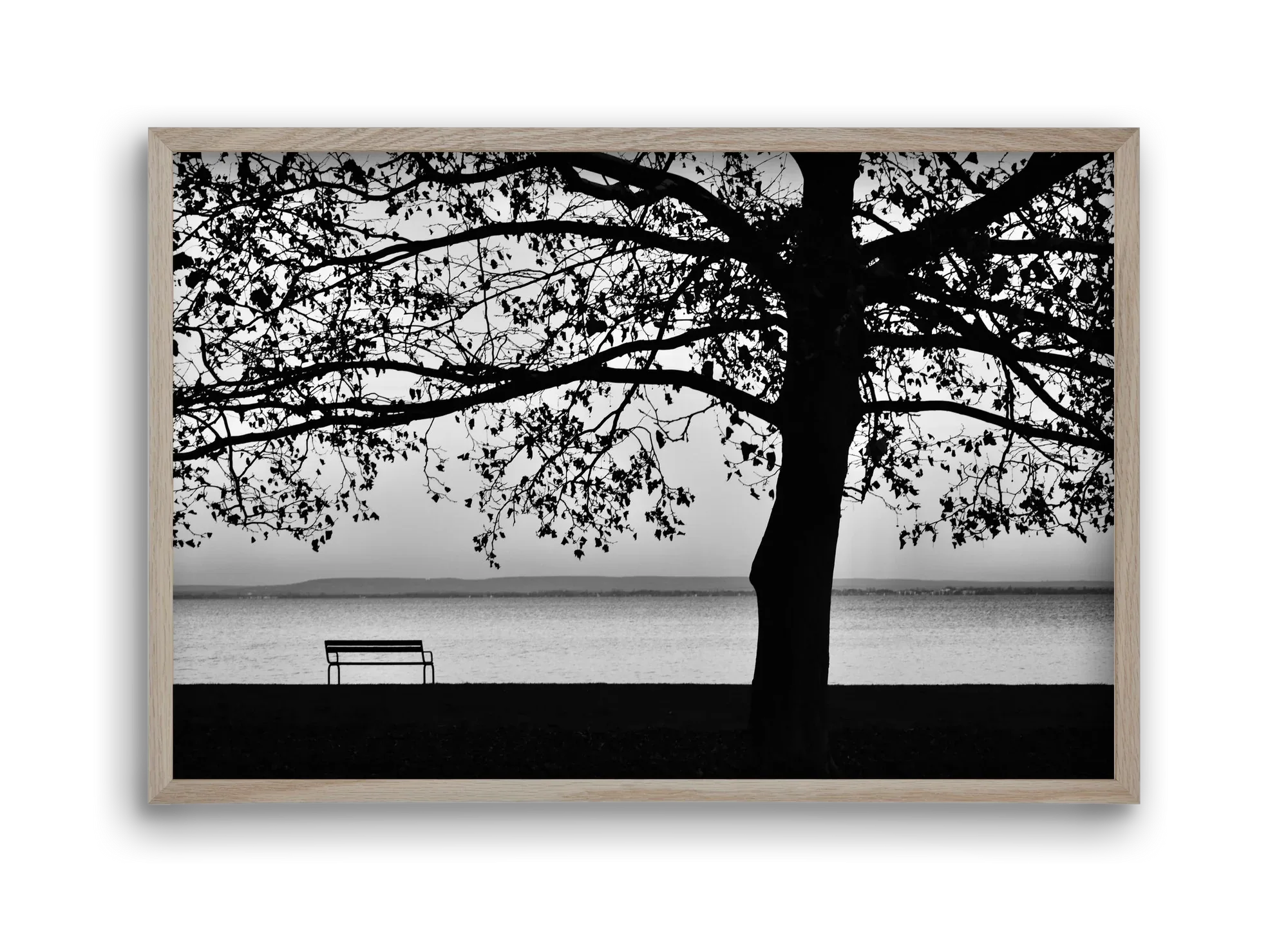 Badacsony part - artbridge