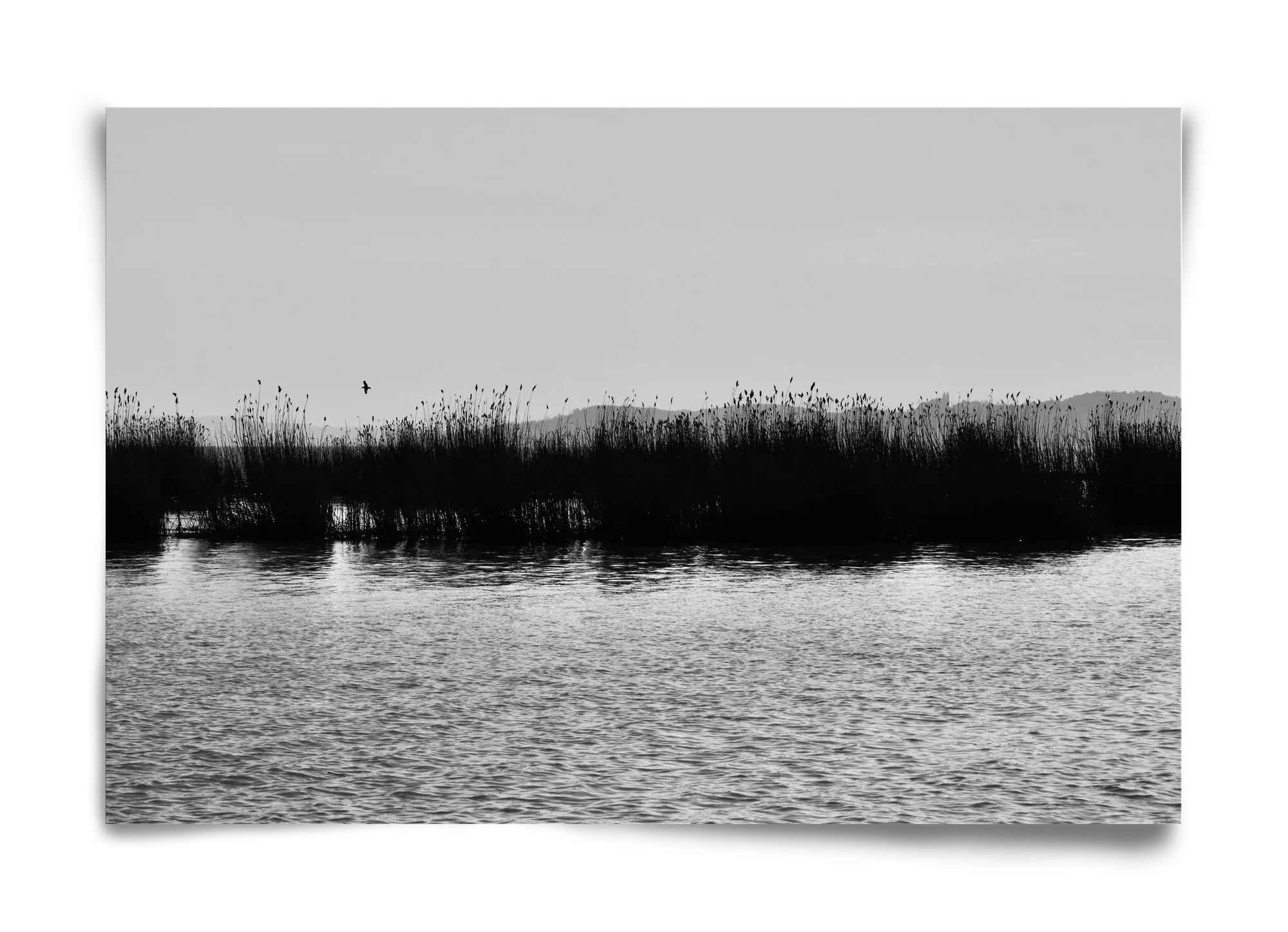 abbey - artbridge
