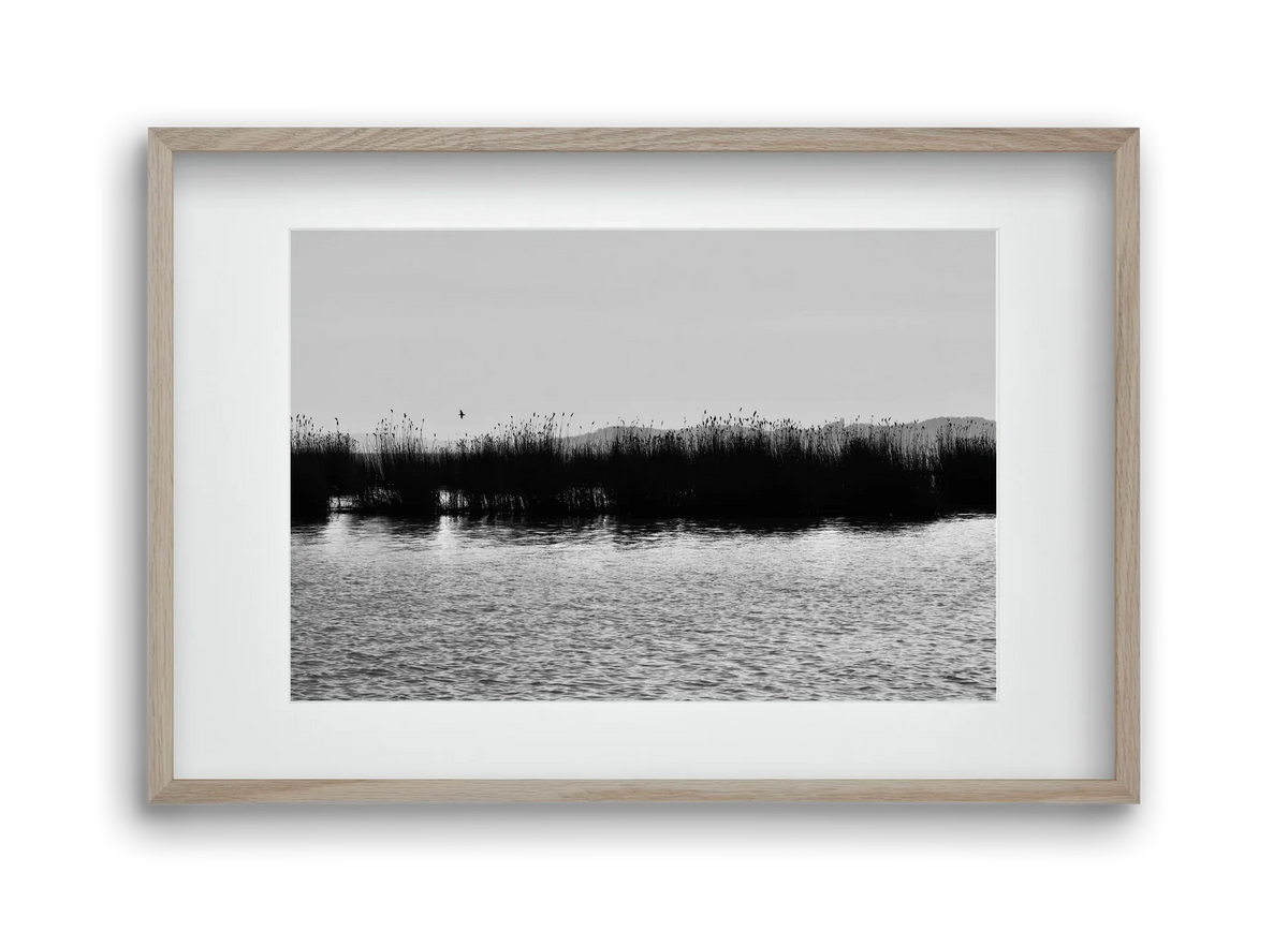 abbey - artbridge