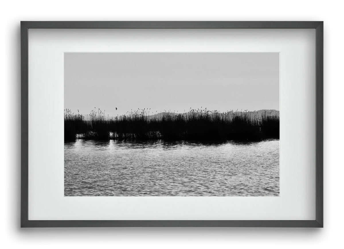 abbey - artbridge