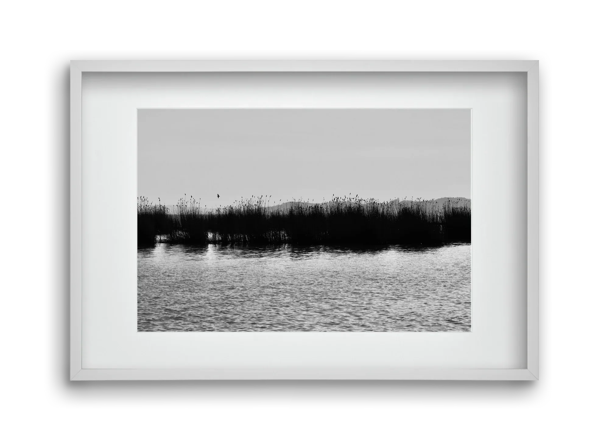abbey - artbridge