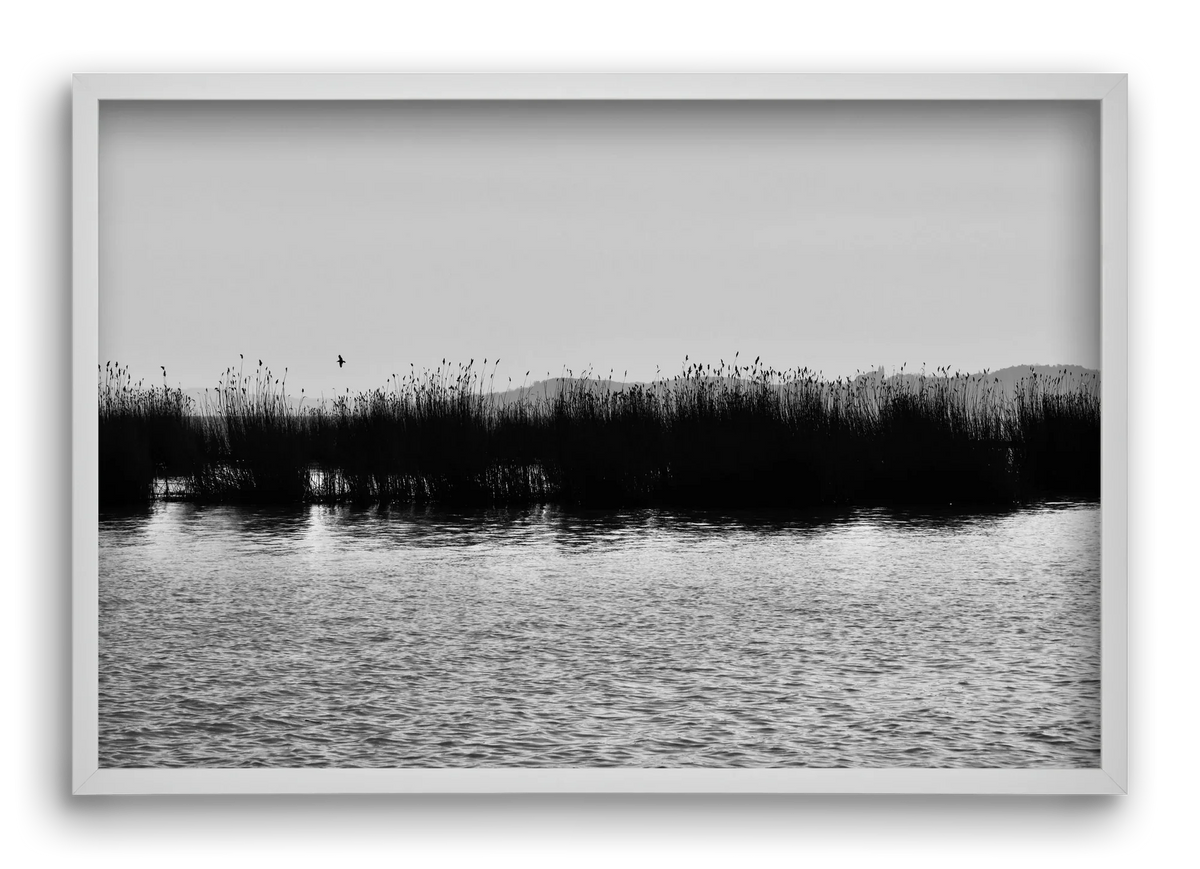 abbey - artbridge