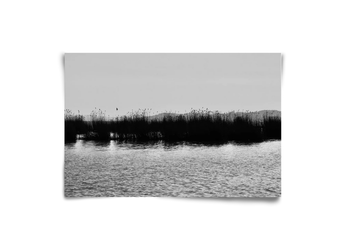 abbey - artbridge