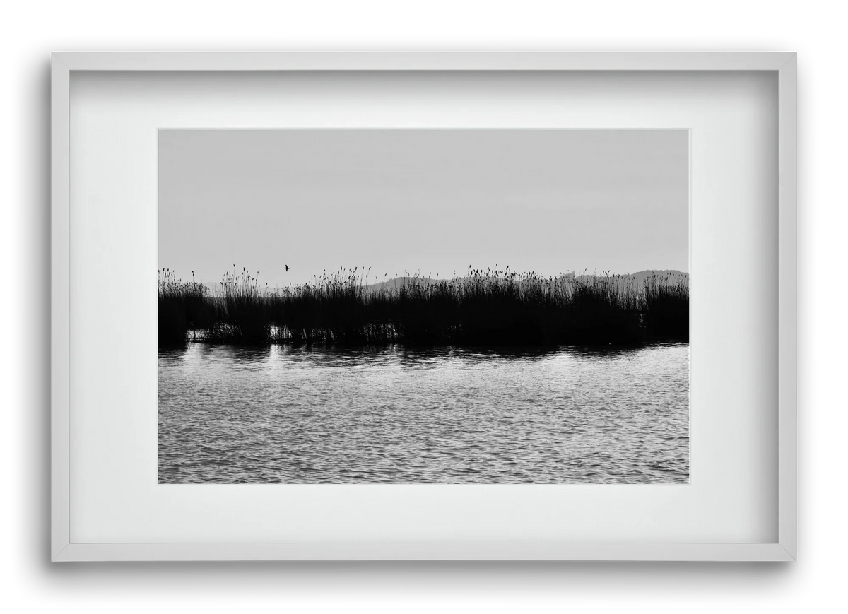 abbey - artbridge