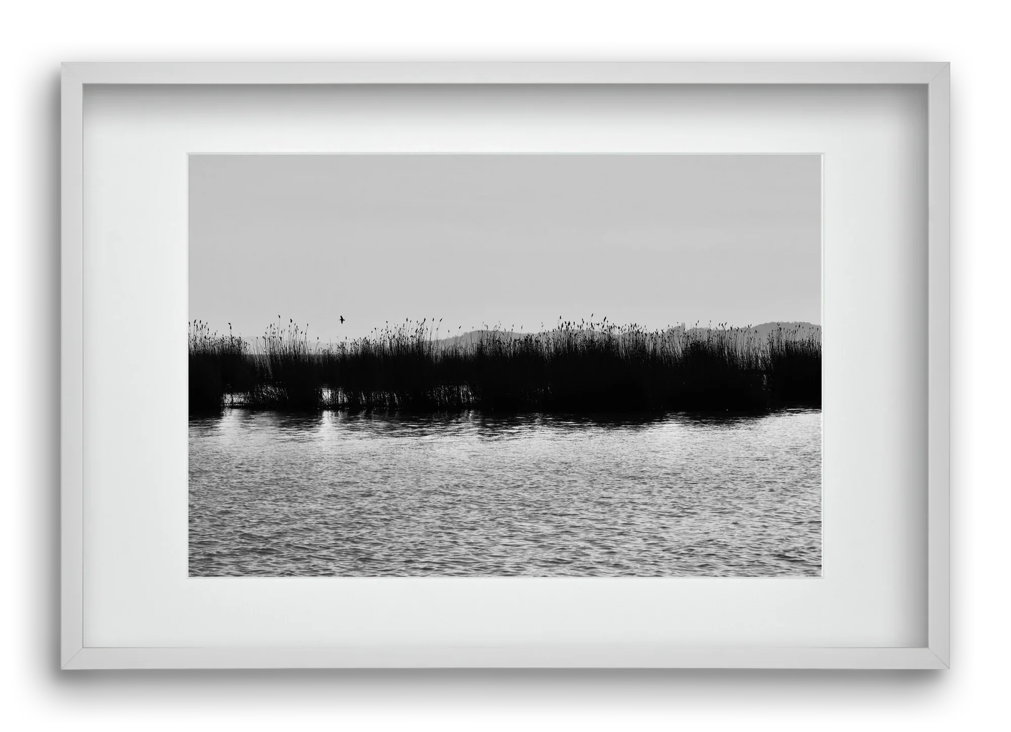 abbey - artbridge