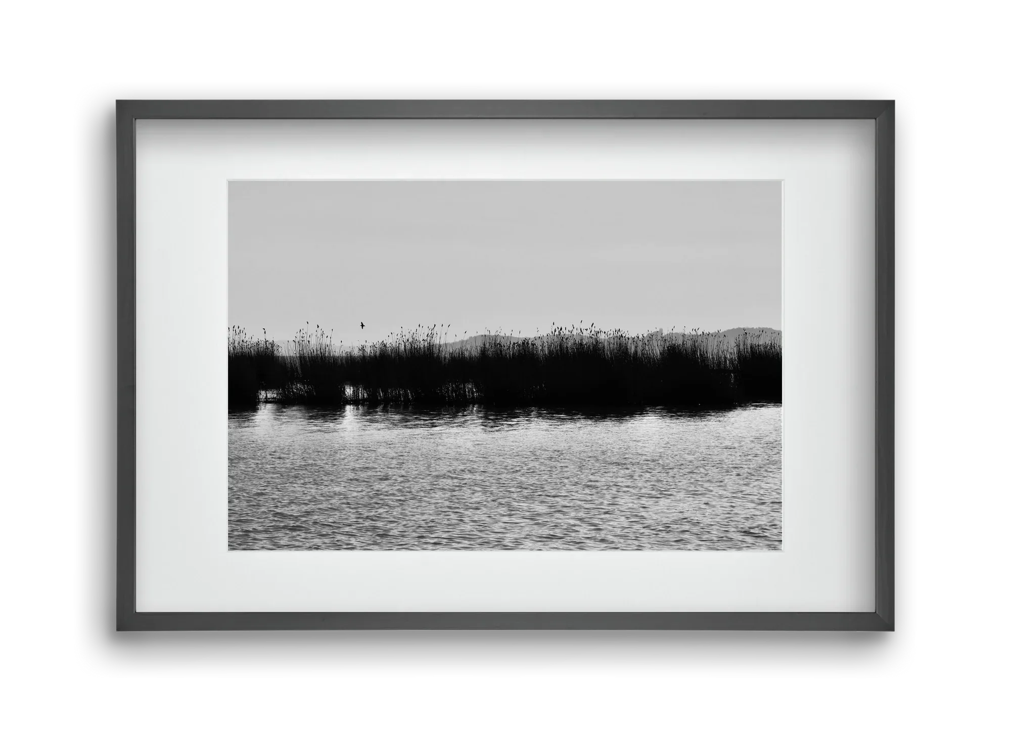 abbey - artbridge