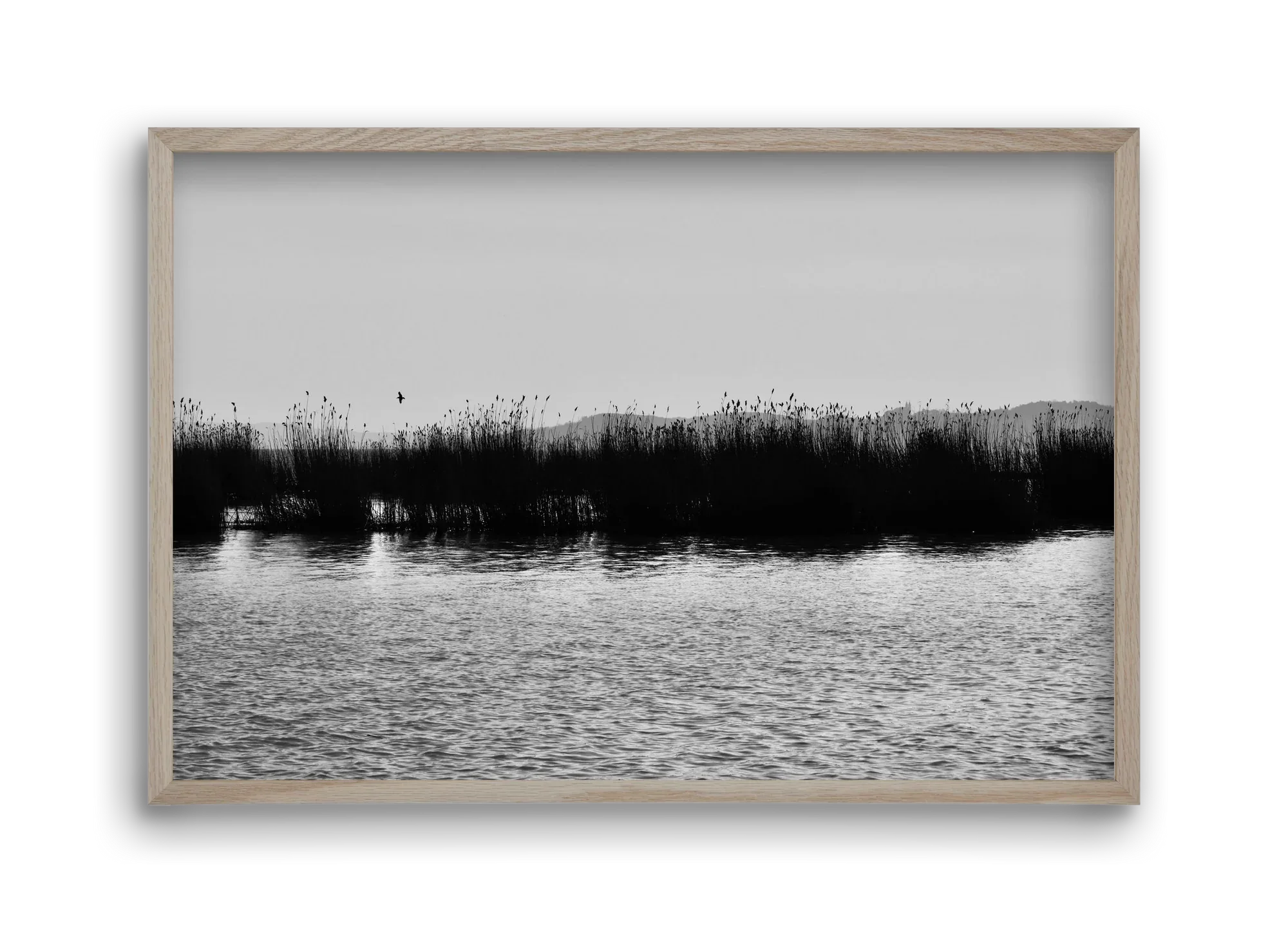 abbey - artbridge