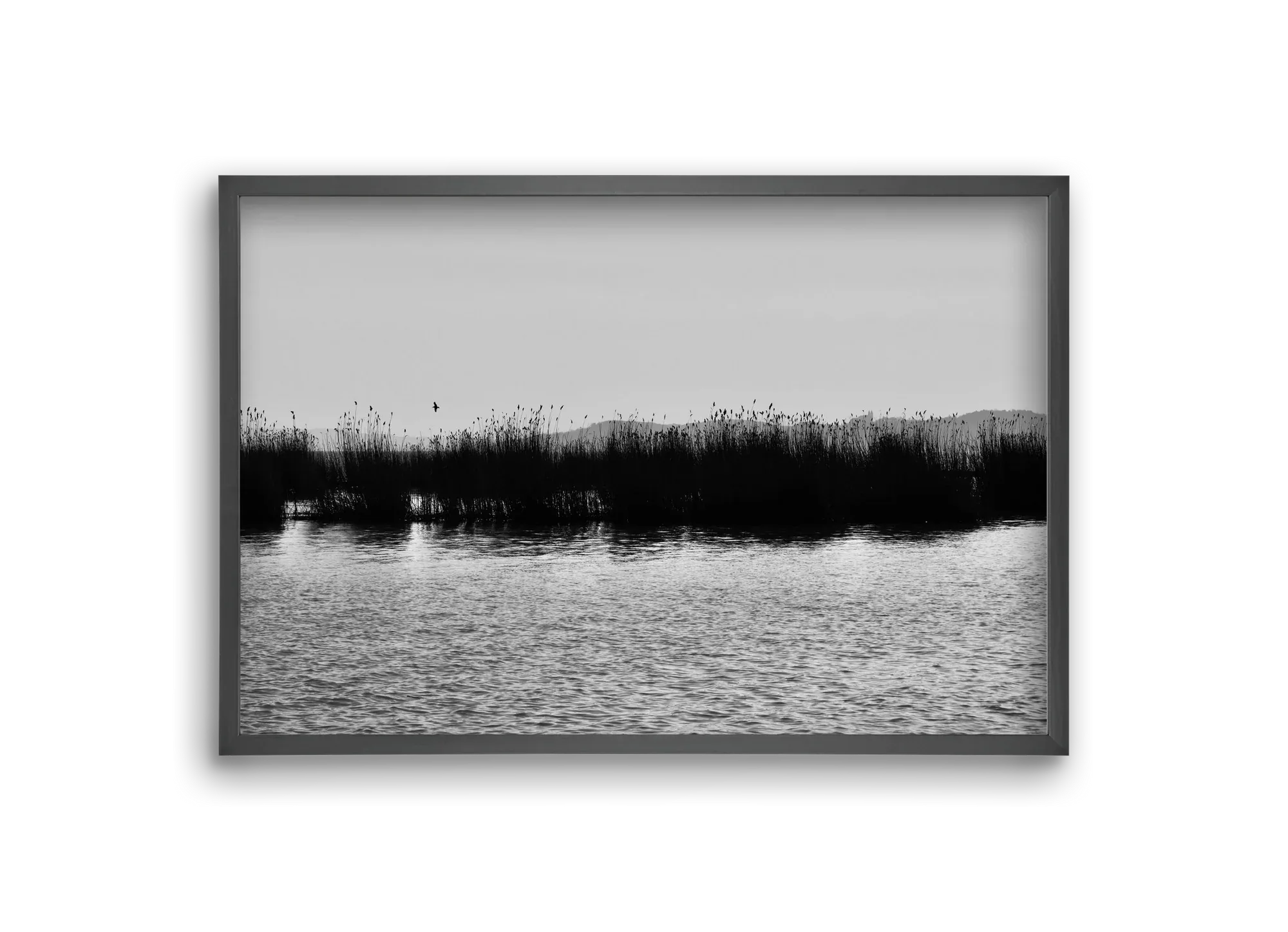abbey - artbridge
