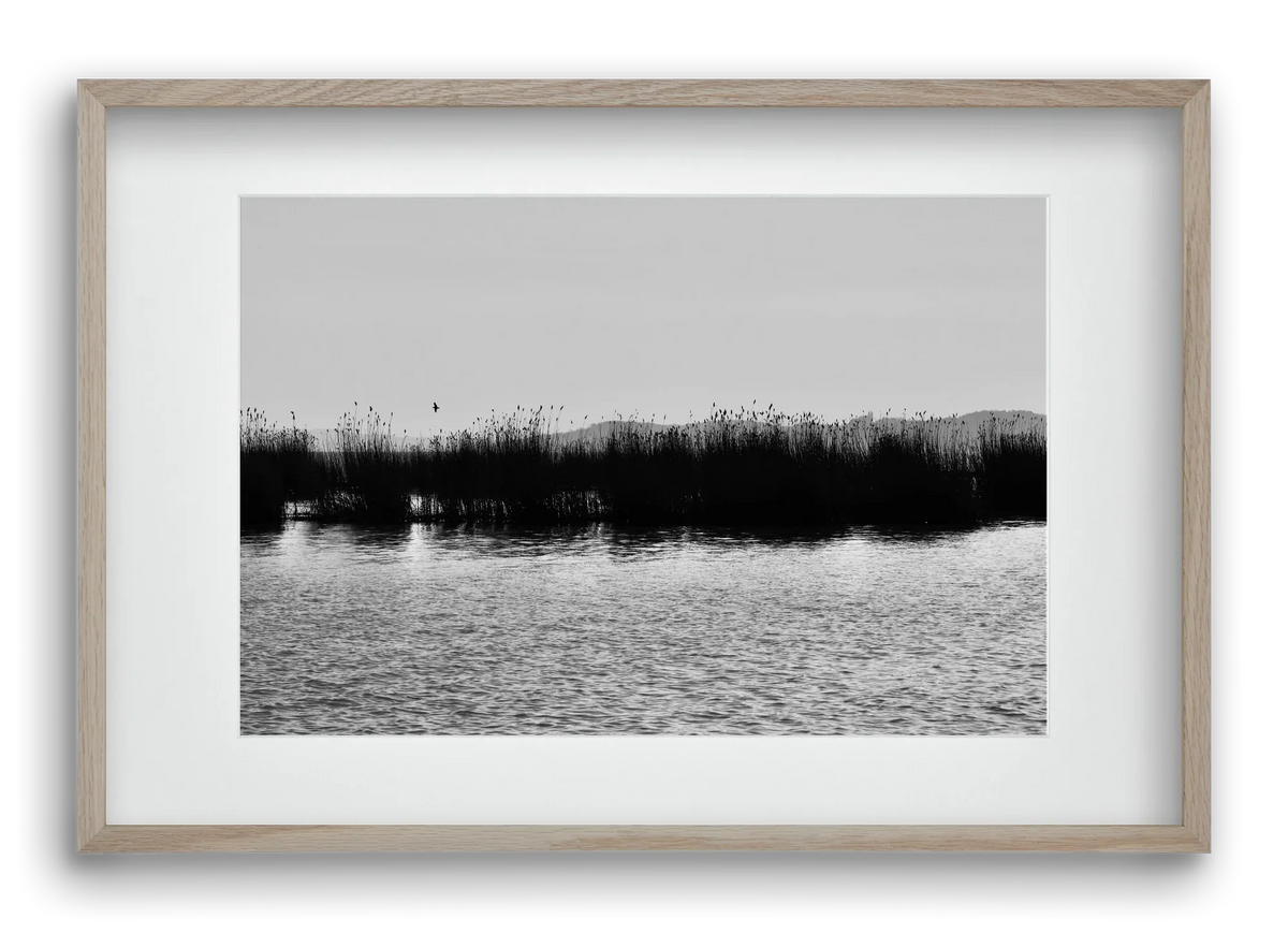 abbey - artbridge