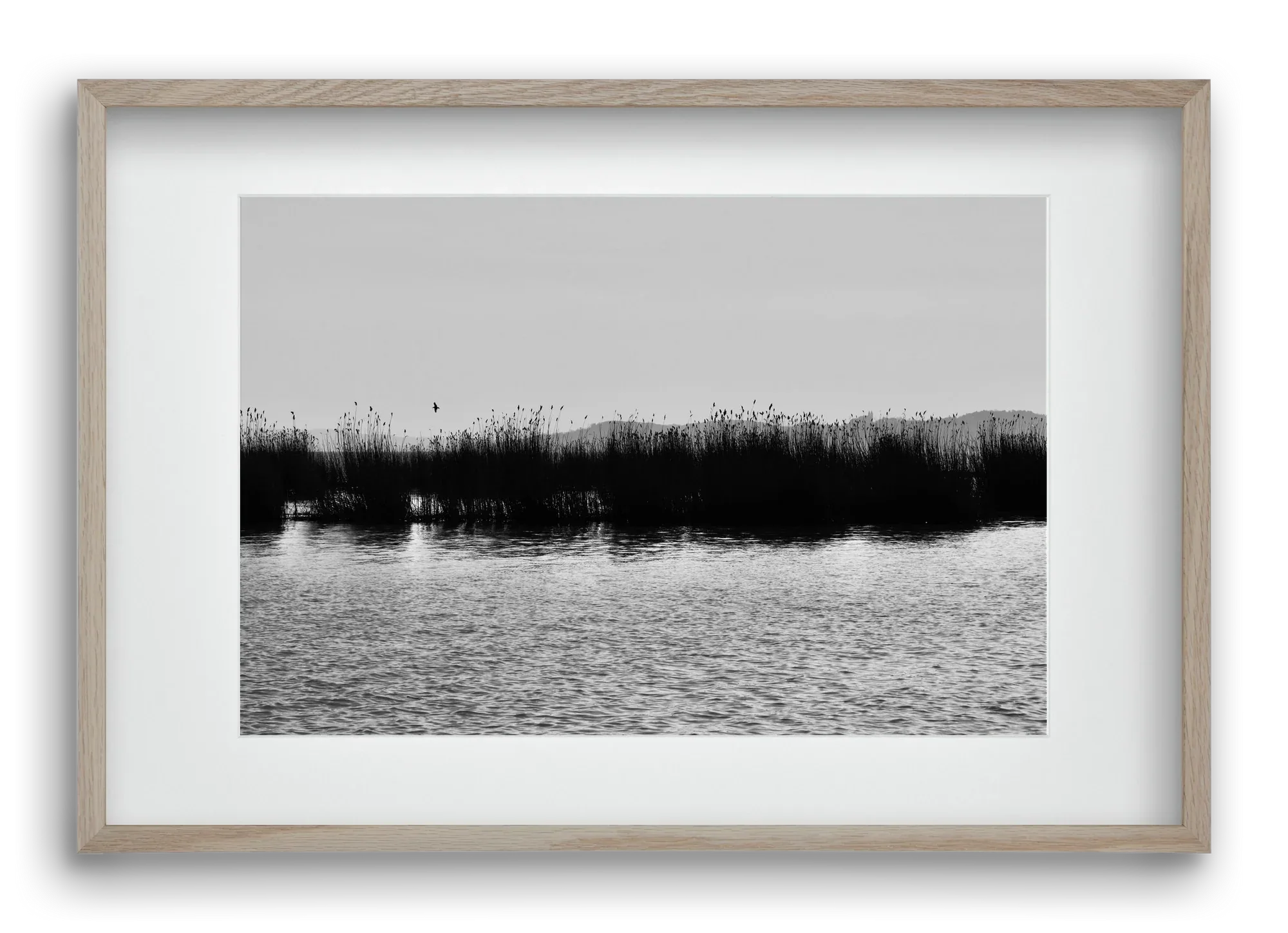 abbey - artbridge