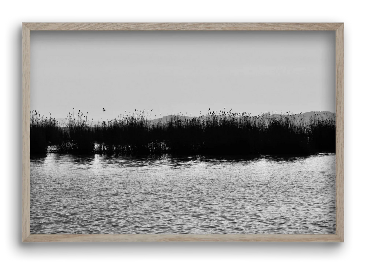 abbey - artbridge