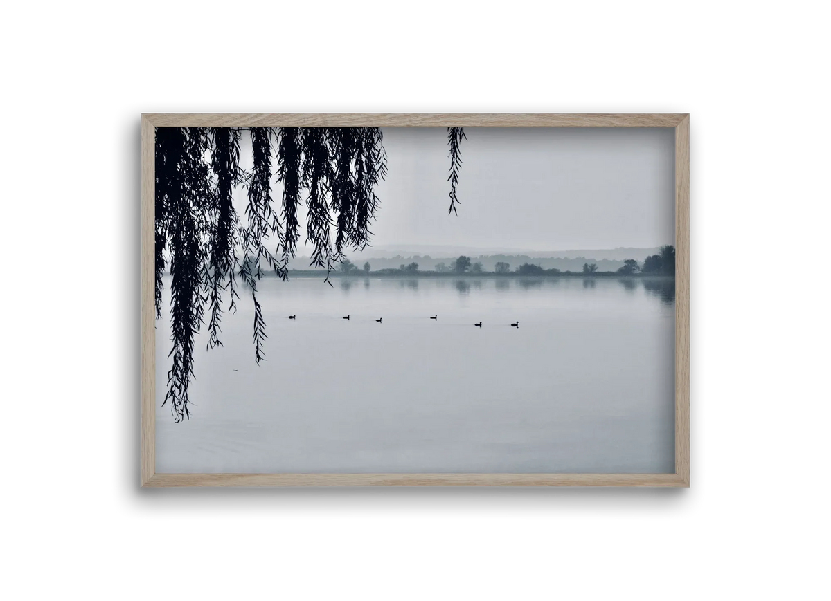 Kányavár - artbridge
