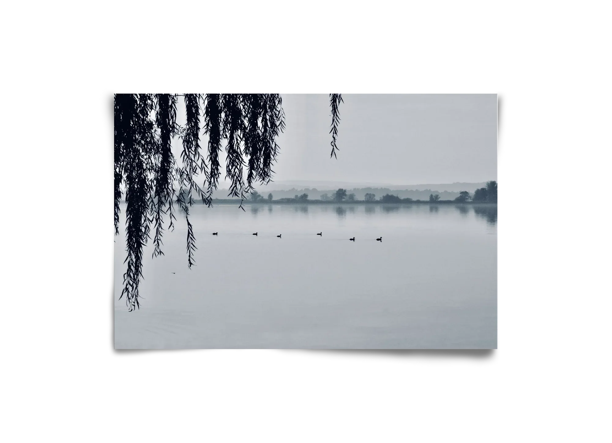 Kányavár - artbridge