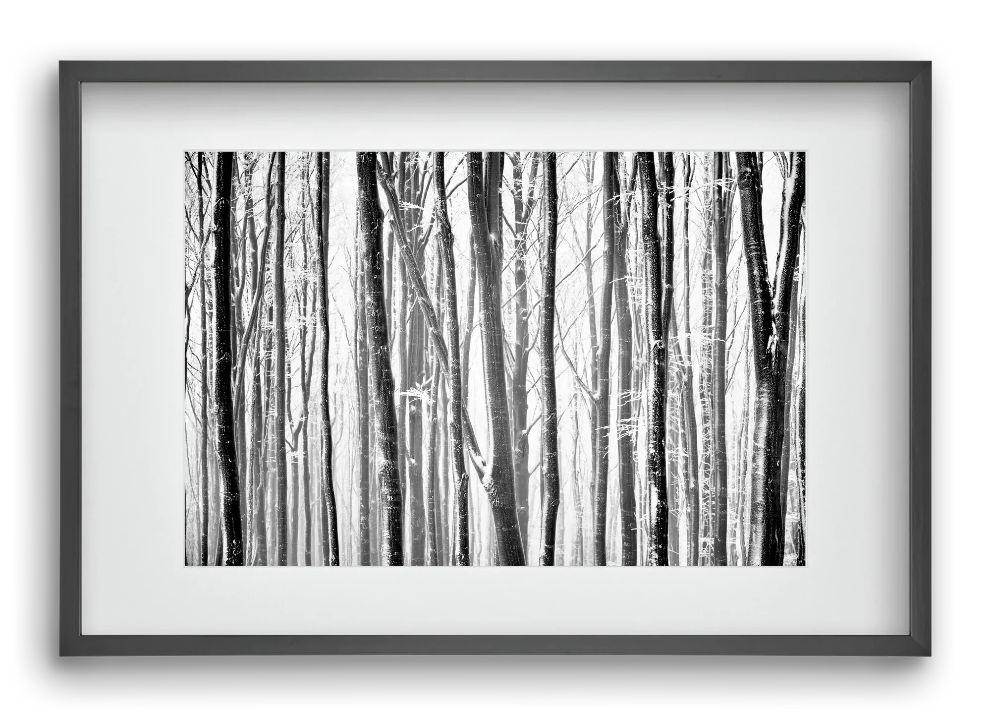 VERTICAL - artbridge