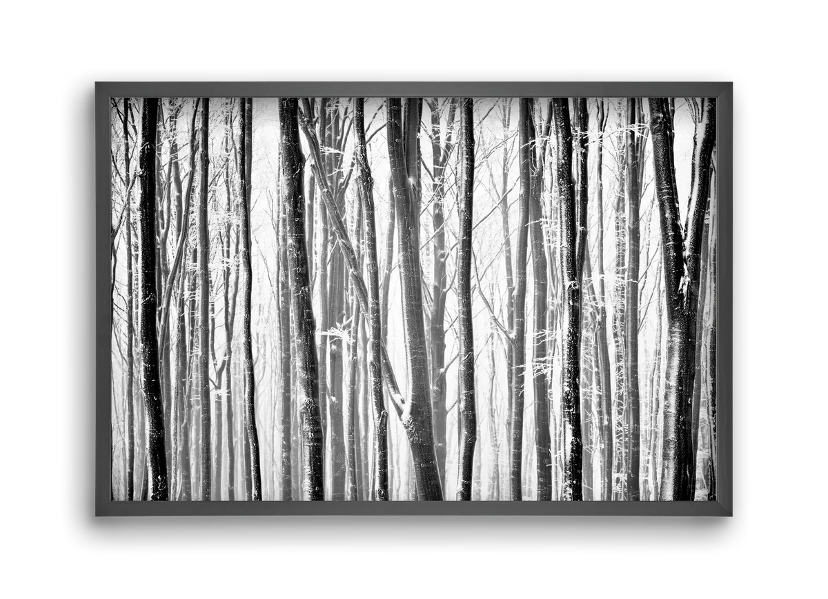 VERTICAL - artbridge