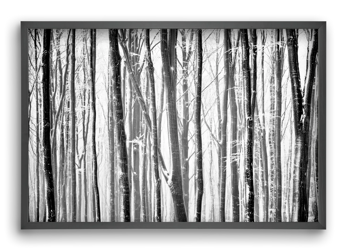 VERTICAL - artbridge