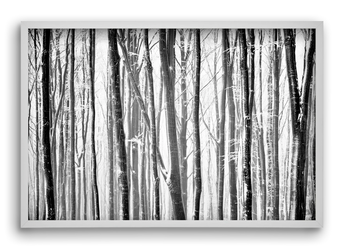VERTICAL - artbridge