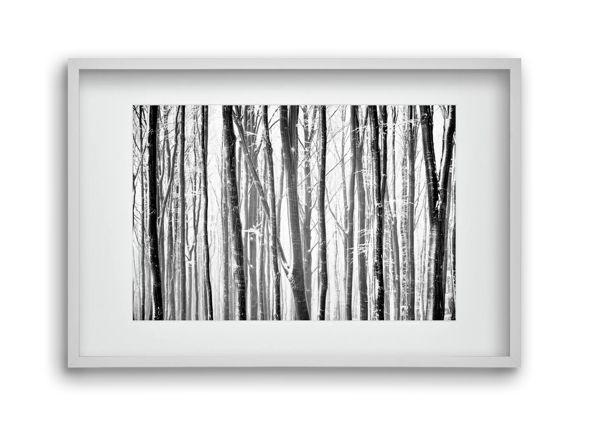VERTICAL - artbridge