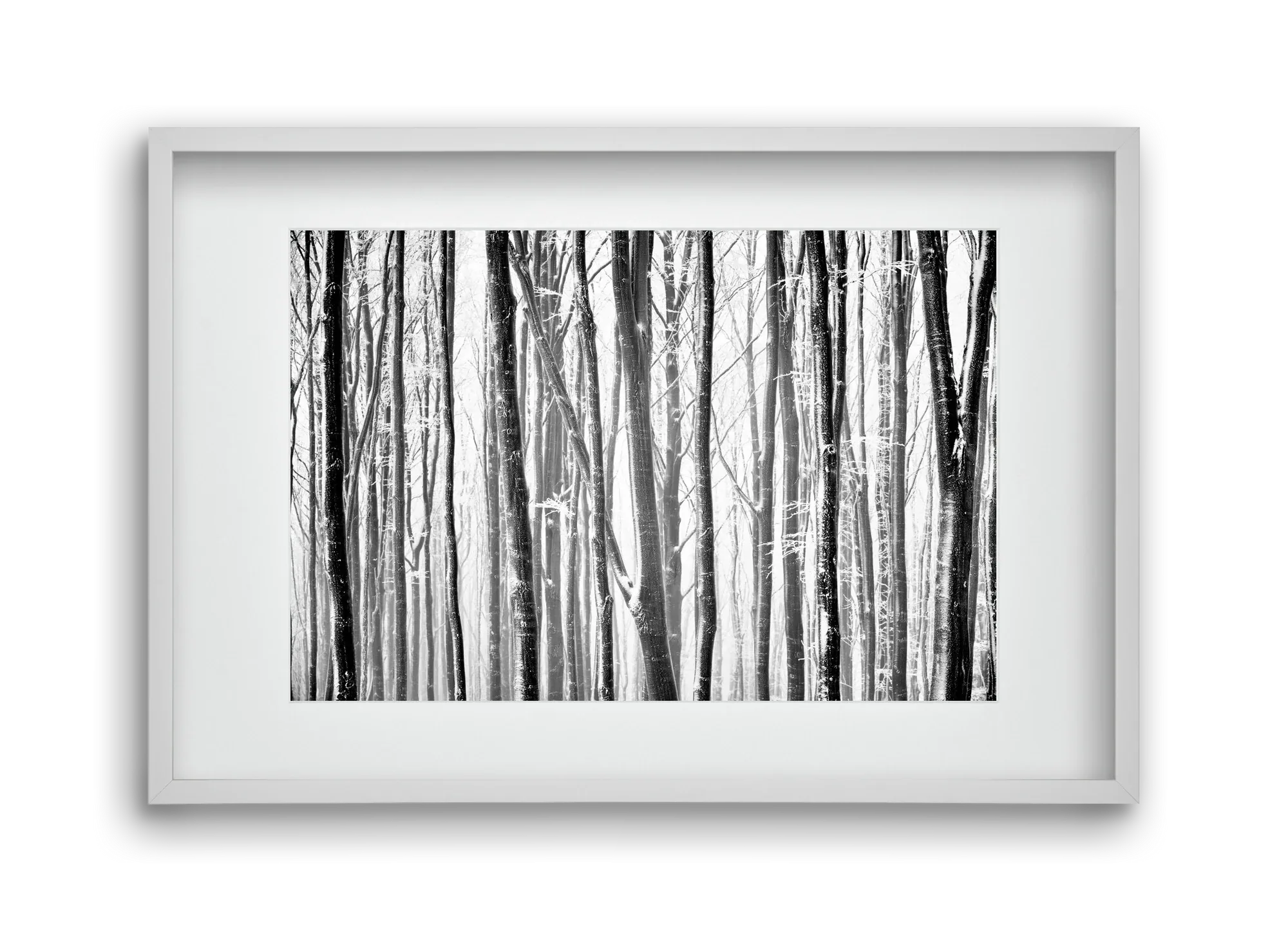 VERTICAL - artbridge