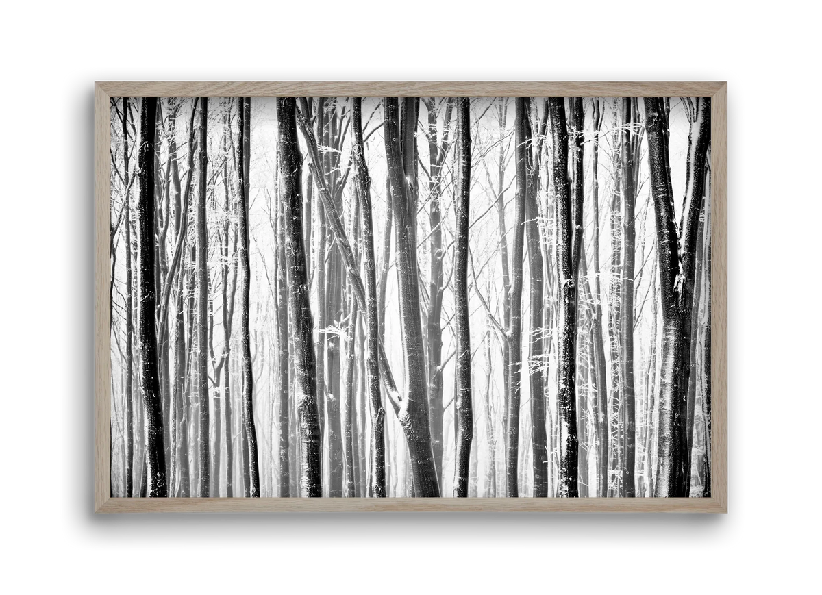 VERTICAL - artbridge